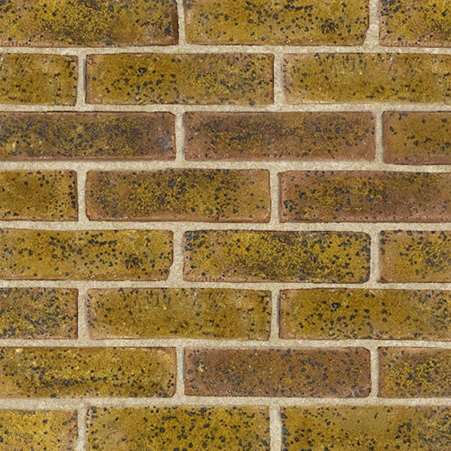 TBS - Daneshill Yellow Brick Slip