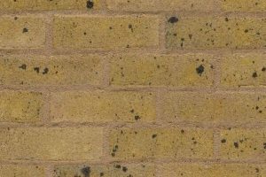 Wienerberger Smeed Dean London Stock Brick packs of 500.